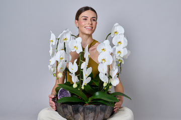 Orquídeas