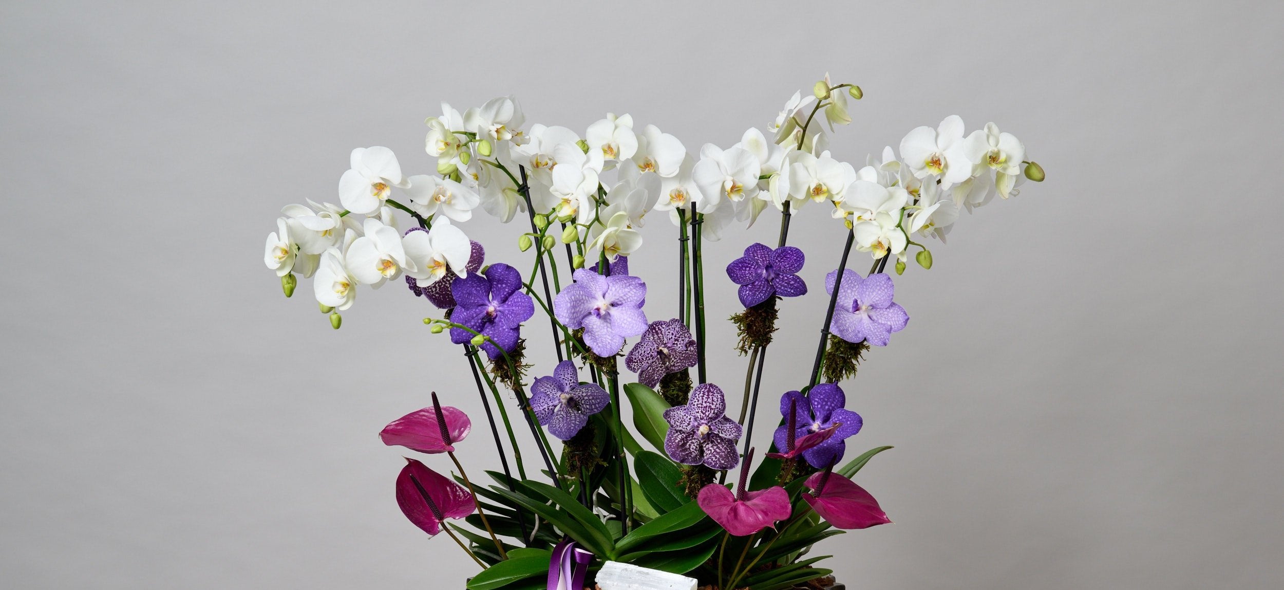 slider image 1621243260e1af0c20-0