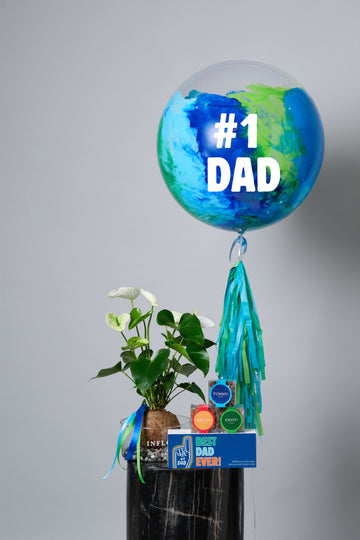 Set Día del Padre Kokedama Anthurium