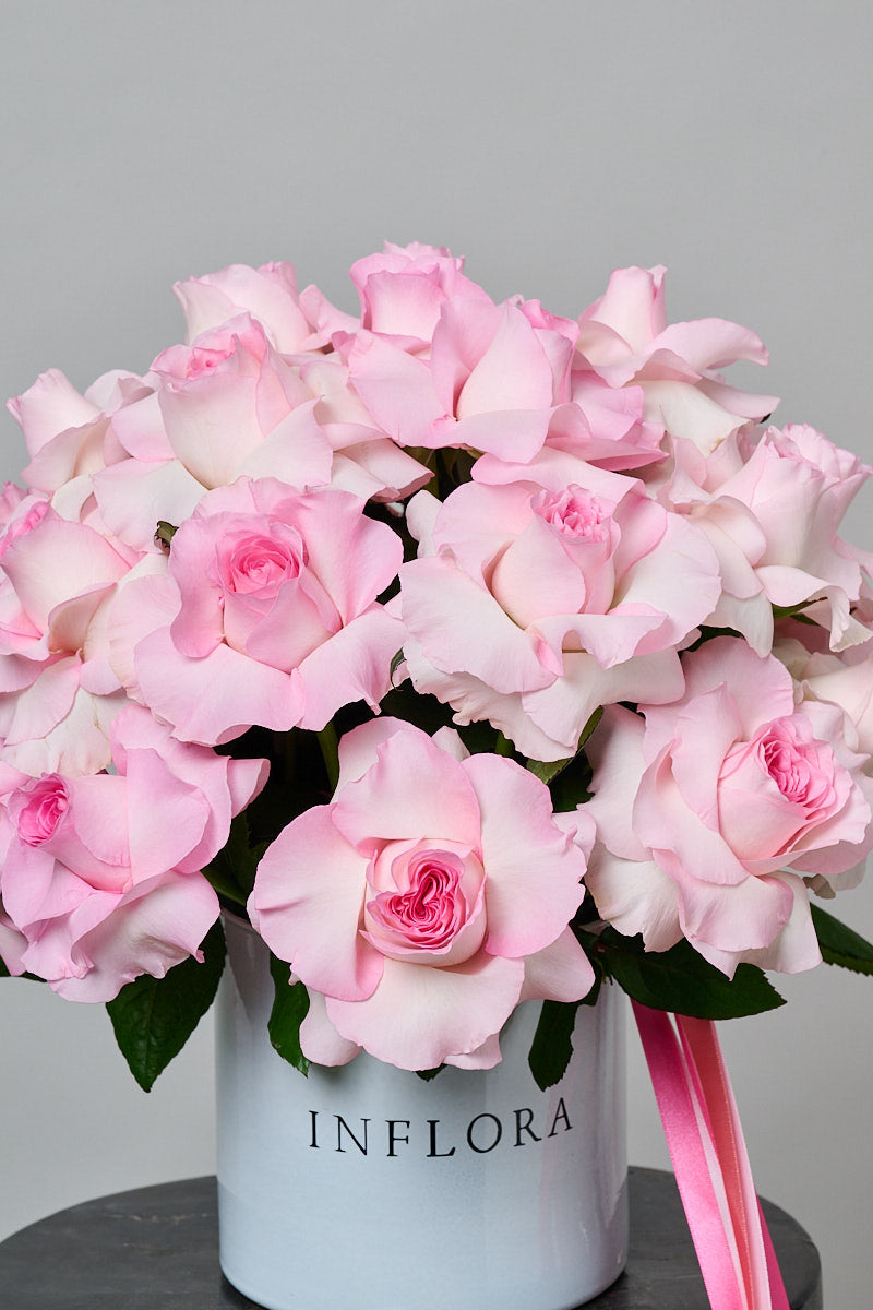 Rosas Rosas