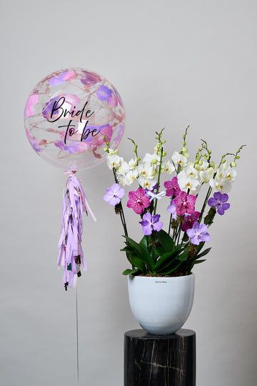 Orchid Wonder Grande + Globo Glitter