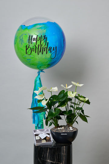 Set Jardín de Anthurium + Globo Burbuja + Brownies (El Postre)