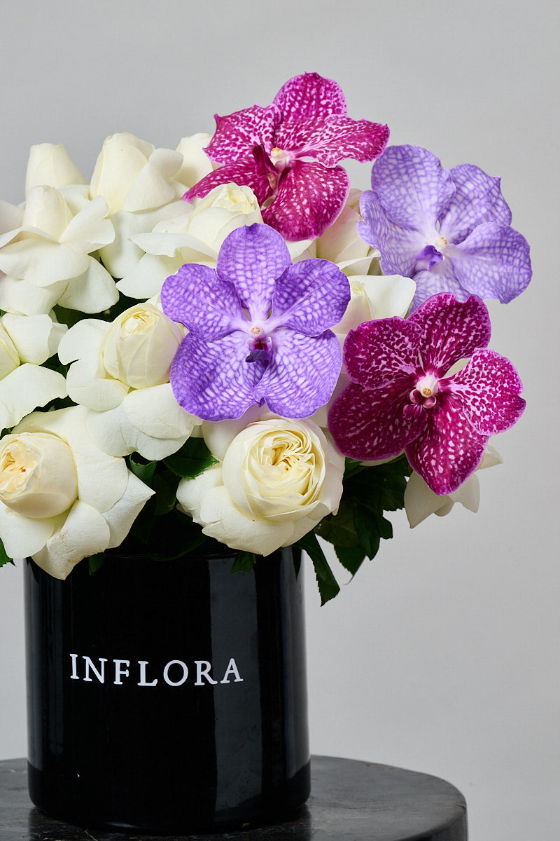 Lindo Florecer
