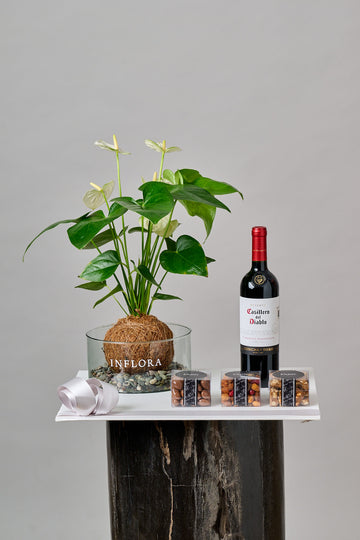 Set Anthurium, Botana, Vino / Tequila