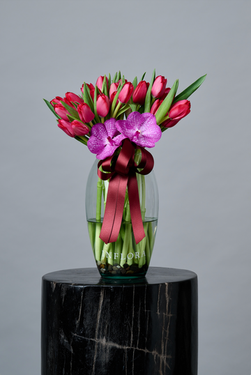 Tulipan Vanda
