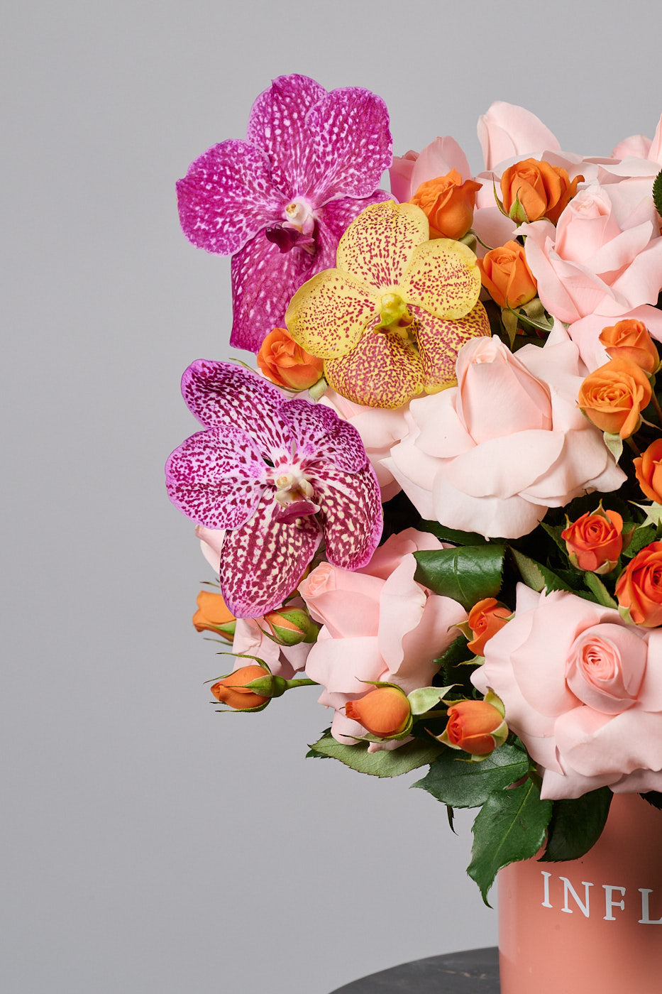 Luz que Guía