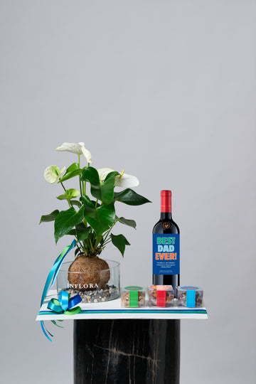 Kokedama Anthurium + Vino + Botana