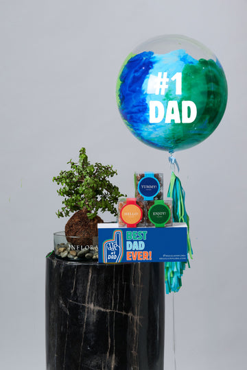Set Día del Padre Kokedama Árbol de la Abundancia + Globo + Botanas