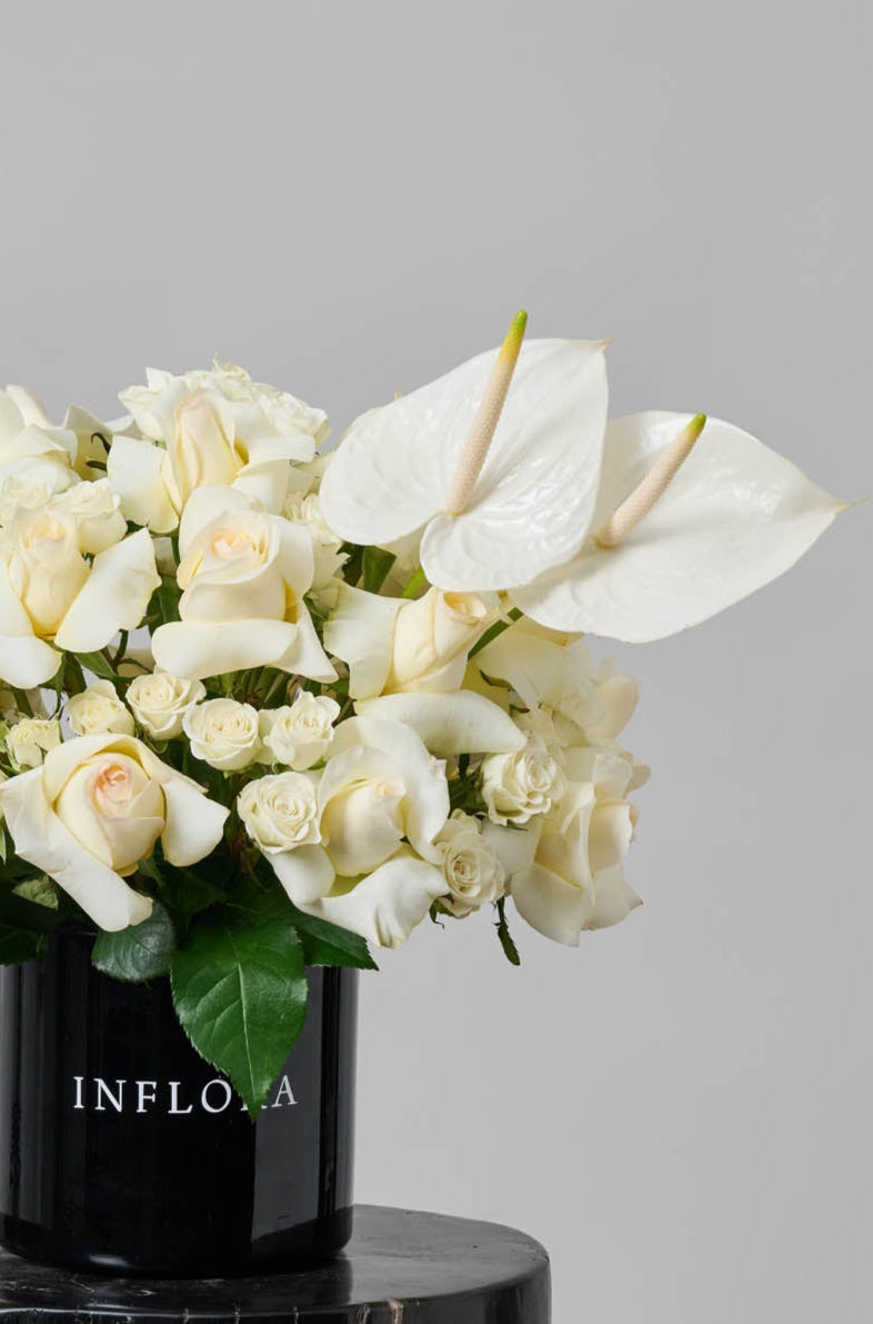 Rosas + Anthurium