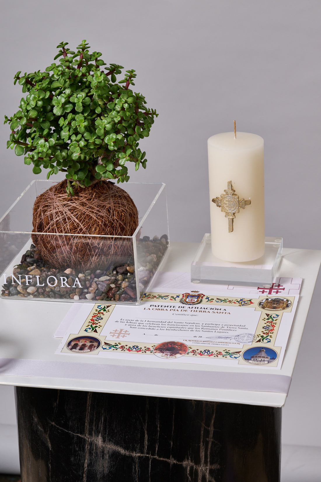 Kokedama Árbol de la Abundancia + Cirio - Sets de Condolencias Envio Nacional