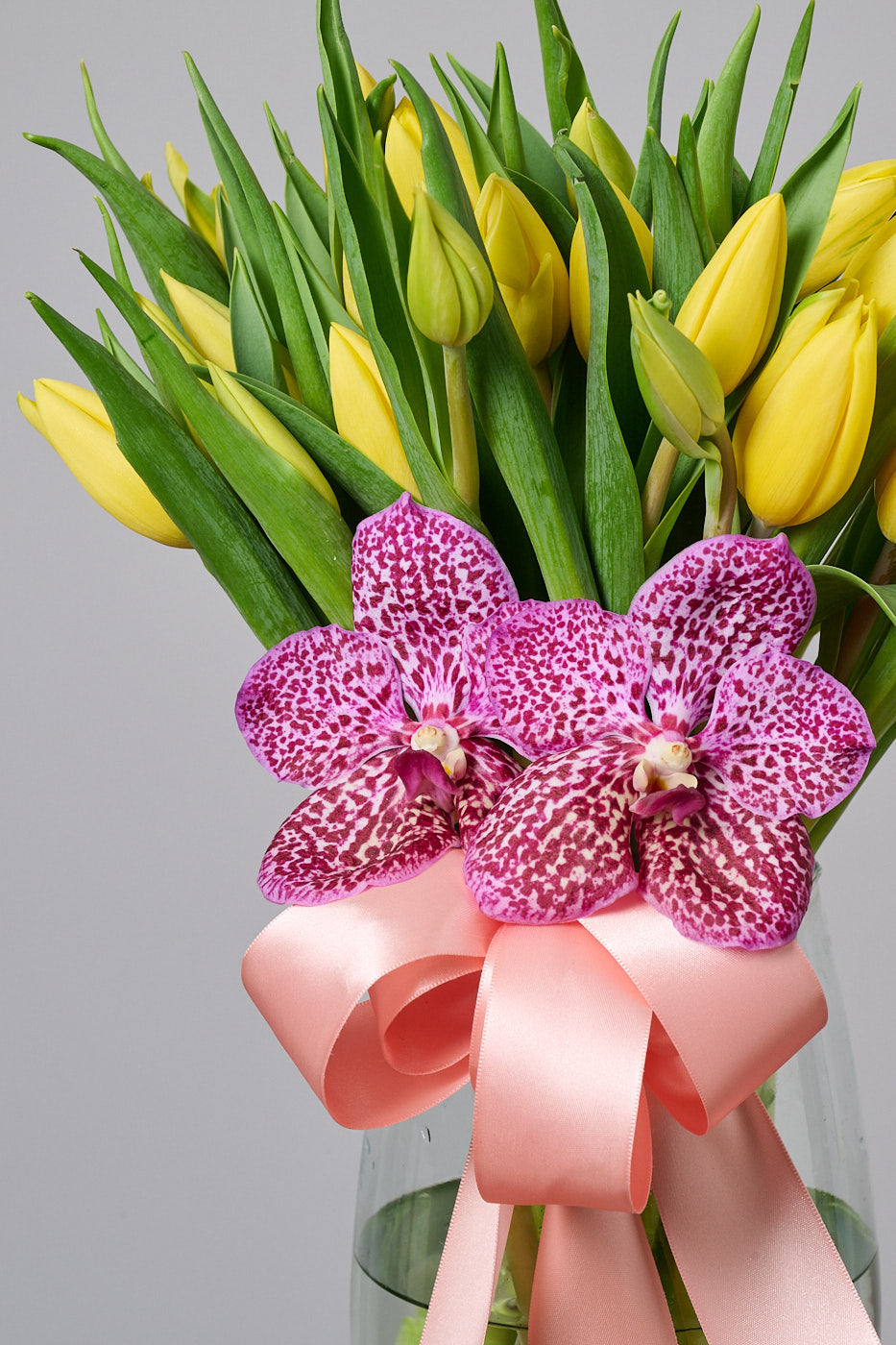 Tulipanes Vanda