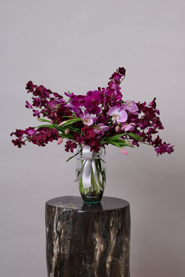 Orquídeas + Tulipanes