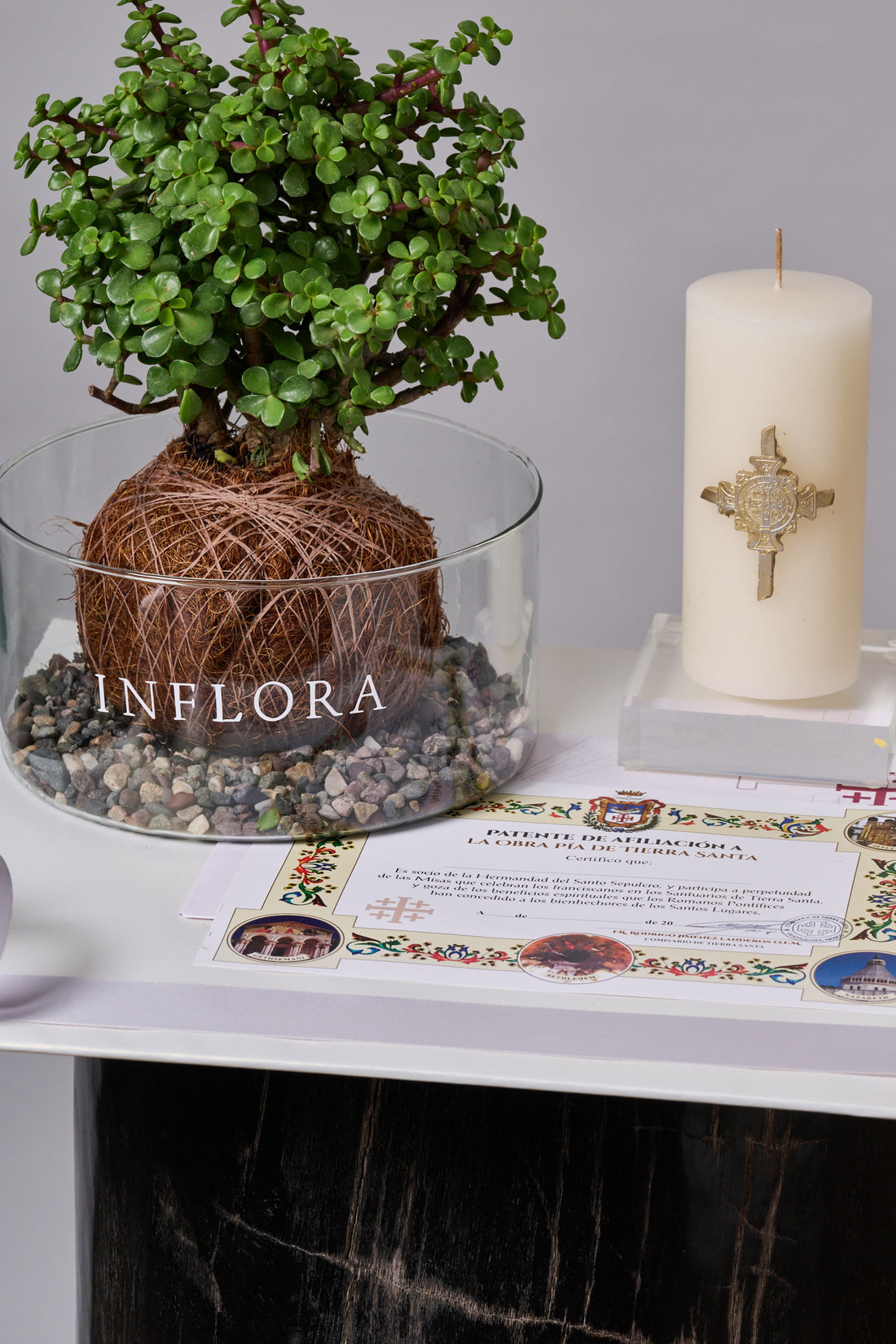 Arbol de la Abundancia - Set de Condolencias – Regala Inflora