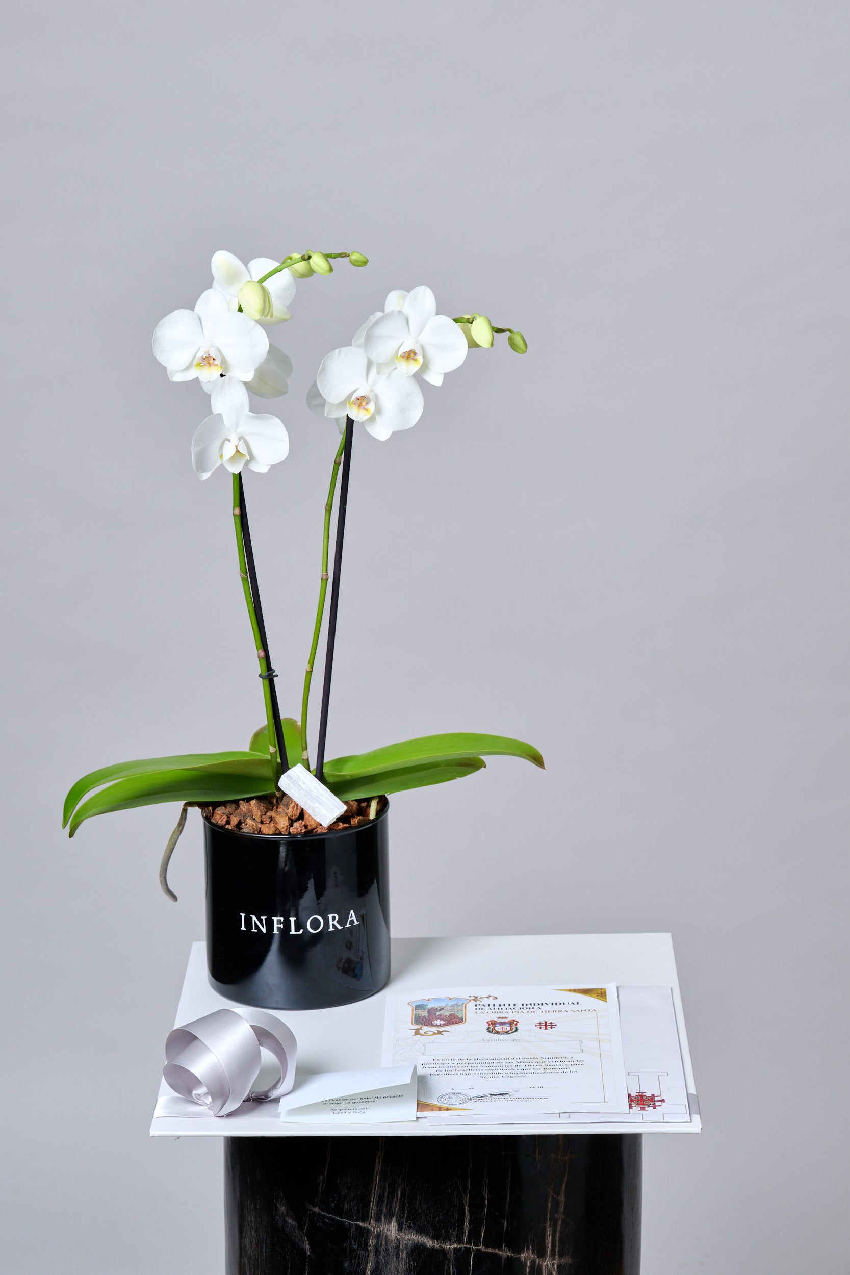 Orquídea - Set de Condolencias – Regala Inflora