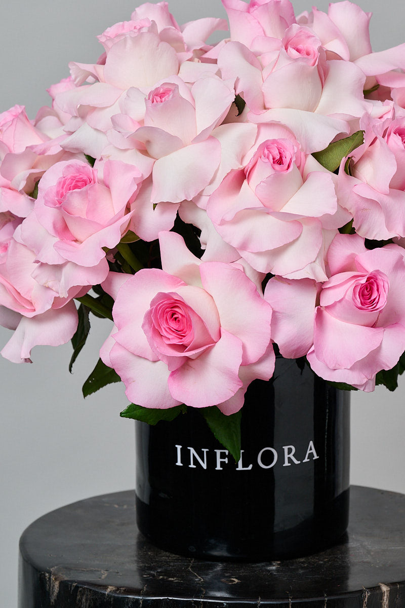 Rosas Rosas