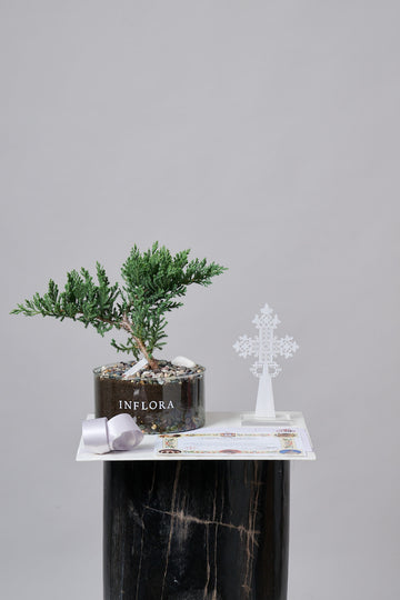 Bonsai + Cruz de Acrílico + Misa - Set de Condolencias