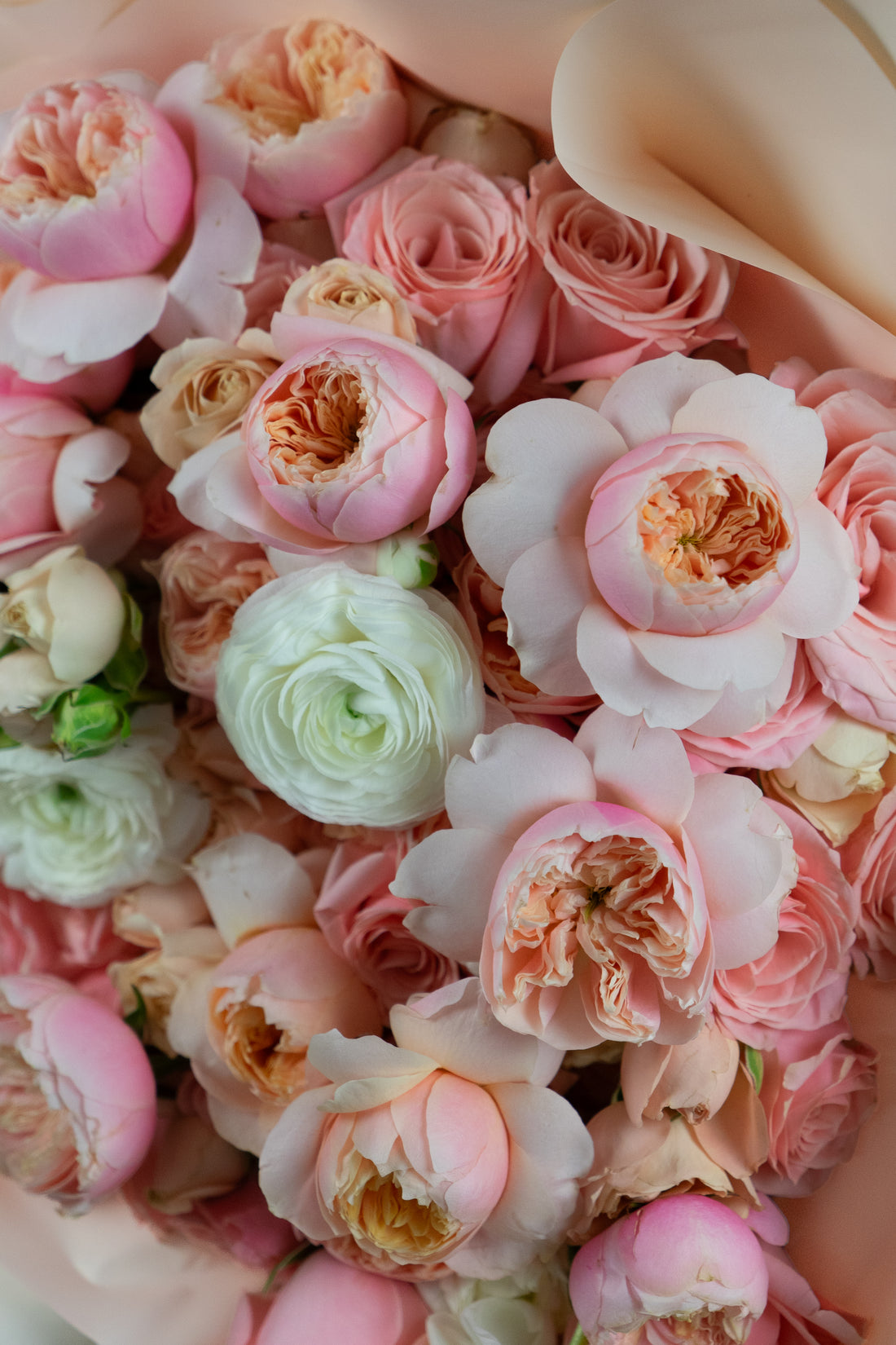 Ramo Rose Blush